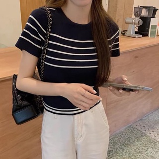Áo montoghi cổ tròn kẻ