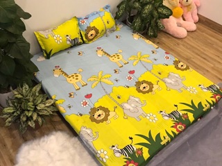 Sét 3 món ga gối cotton poly giá siêu rẻ