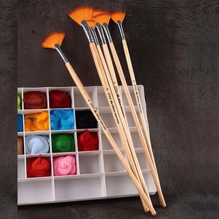 🌿 Cọ quạt cọ xòe cọ vờn các kích cỡ