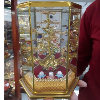 Hộp cây tiền như ý phong thủy mang tài lộc đặt phòng khách, ban thờ, ban thờ thần tài, két sắt, bàn làm việc