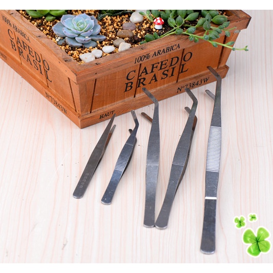 Nhíp Gắp Phụ Kiện Tiểu Cảnh Sen Đá Xương Rồng Bonsai,Trồng Cây, Làm Nhà  Búp Bê