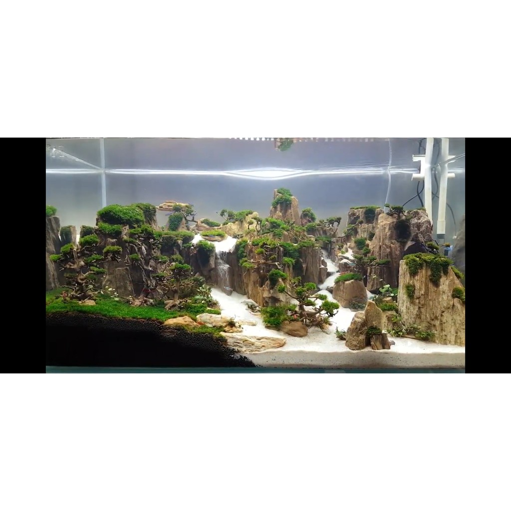 Cát thạch anh, cát siêu trắng trải nền làm thác cát hồ thuỷ sinh 1kg