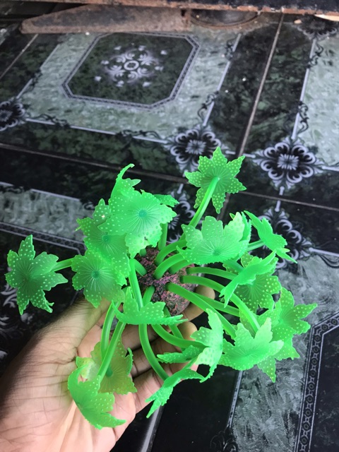 RONG NHẬP DẠ QUANG TRANG TRÍ HỒ CÁ NON BỘ