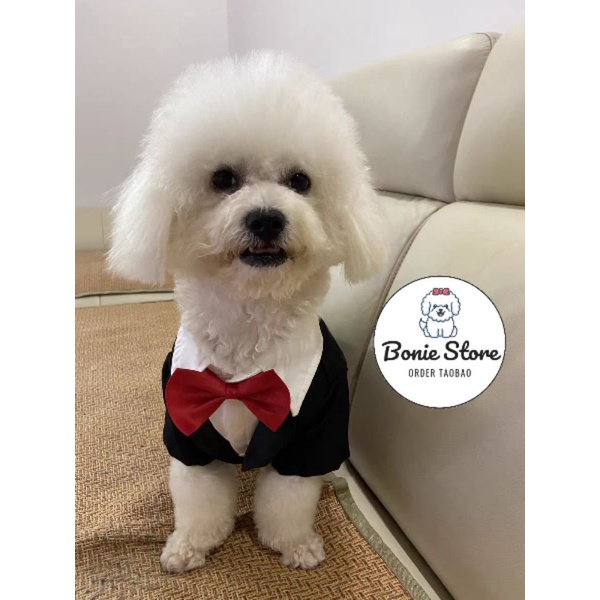 Áo Vest Cho Chó Mèo Thú Cưng, Áo Chú Rể Cho Chó Mèo, Sơ Mi Đính Nơ Cổ Chó Chó Mèo Đực