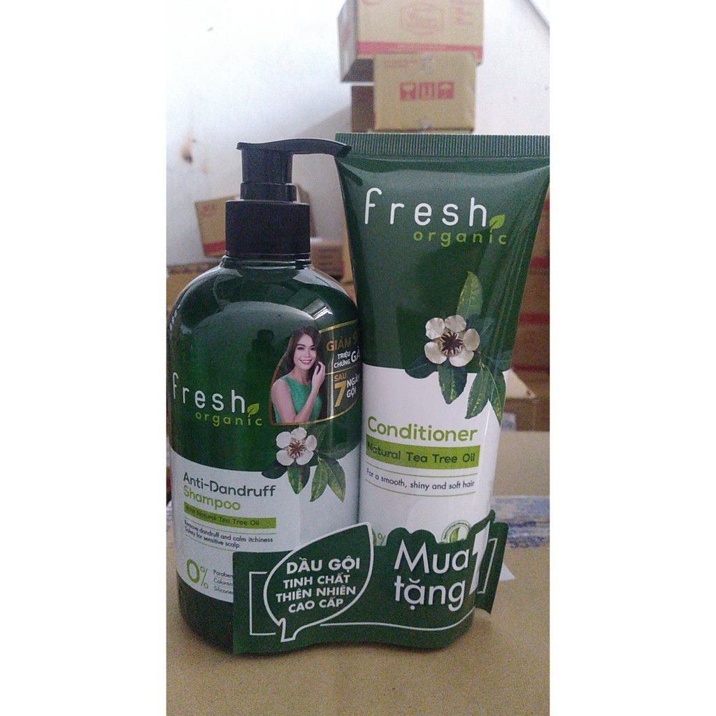 Combo Gội - Xả Fresh Organic Tea Tree Oil  500g + 180g