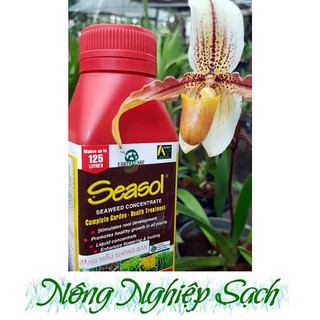 Phân Bón Tảo biển ÚC Seasol - Tốt rễ Đẻ nhánh Chai 250ml [PBO]
