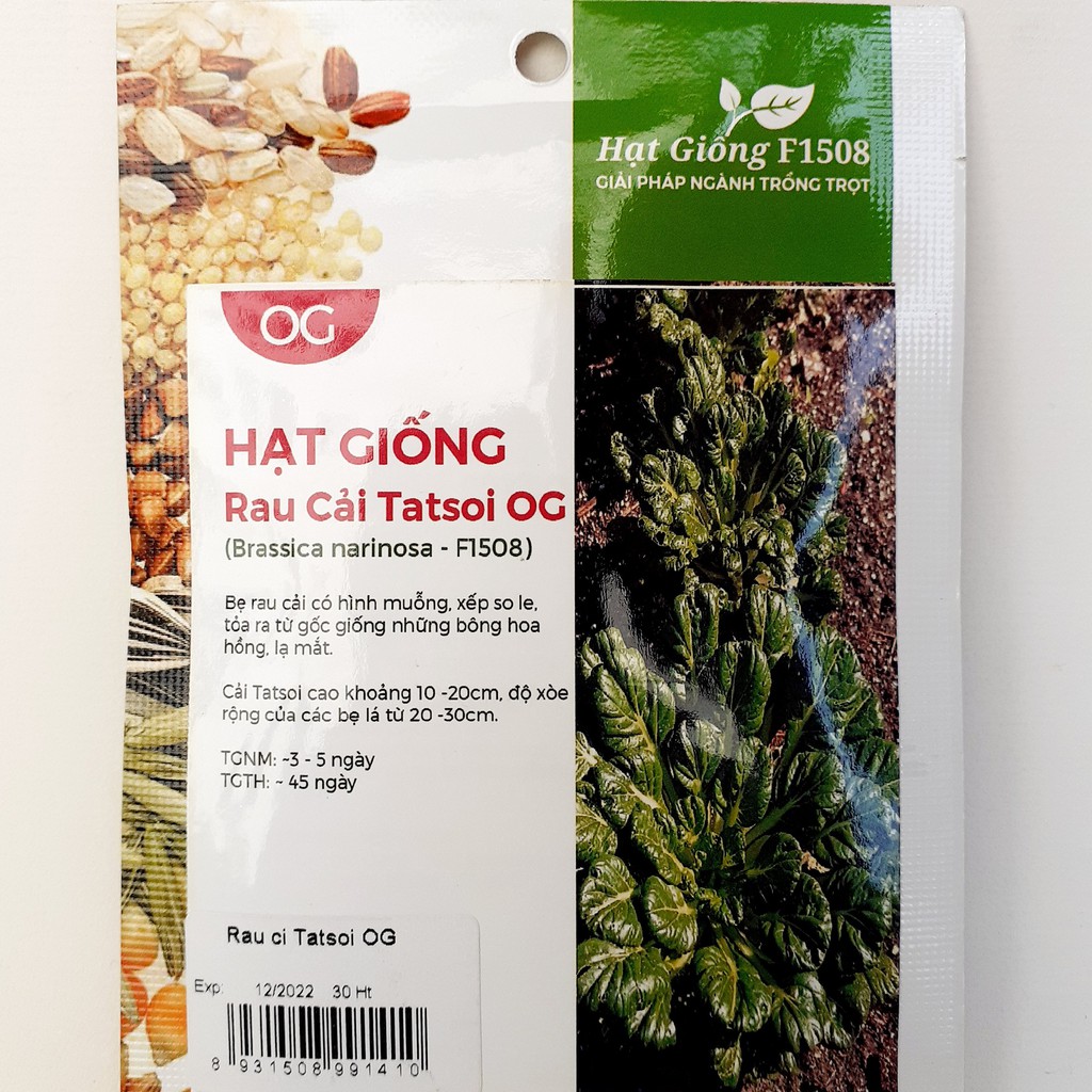 Hạt giống cải hoa hồng Tatsoi