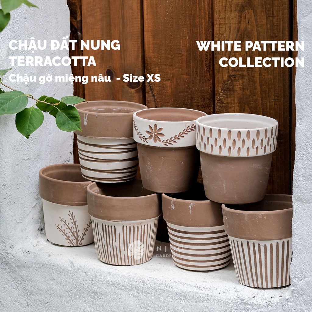 Chậu đất nung Xô gờ miệng nâu - Hàng xuất khẩu - Size XS - Trồng cây cảnh, xương rồng, cây hoa - Ship hỏa tốc