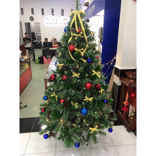 Cây Thông Noel Cao 1m8, Cây Thông Lá Dày Loại Đẹp