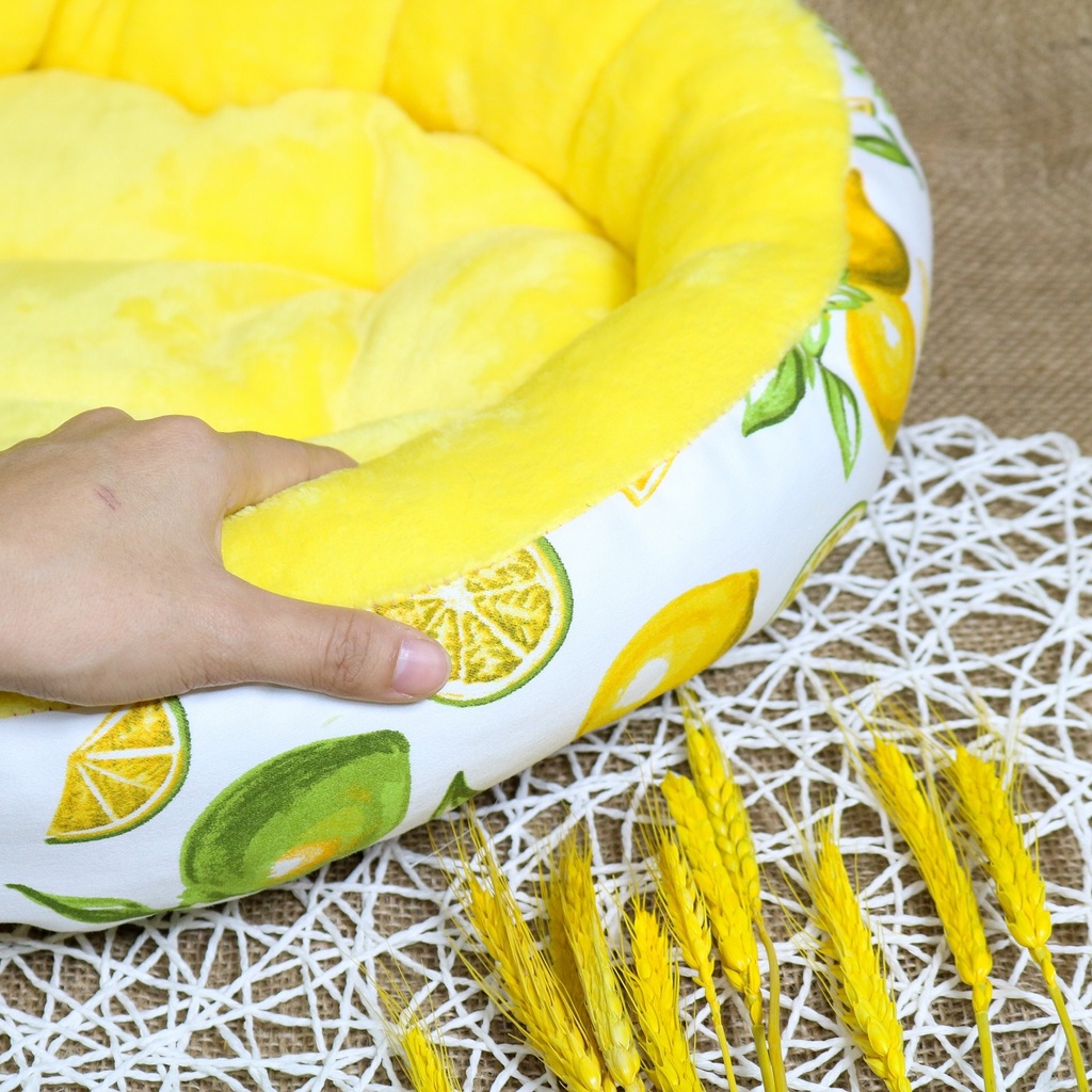 [Ảnh thật] Nệm bông họa tiết trái cây - con voi cho chó mèo dưới 6kg