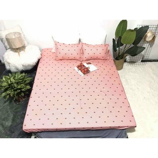 Bộ ga gối m6/m8 drap giường poly, ga trải giường + 2 vỏ gối nằm nhiều mẫu