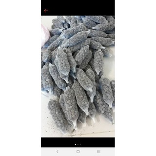 1 đoạn phân dê nguyên chất đã qua sử lý để trồng cây hoa dài 15cm