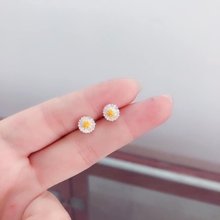 Bông tai hoa cúc Sơn Tùng M-TP CÓ CHẮC YÊU LÀ ĐÂY