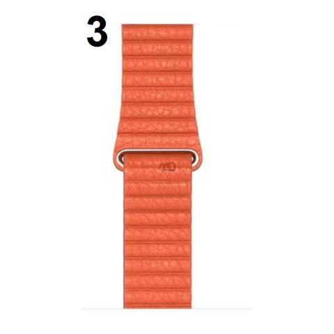 Dây da thông minh Amazfit Stratos 2 / 1