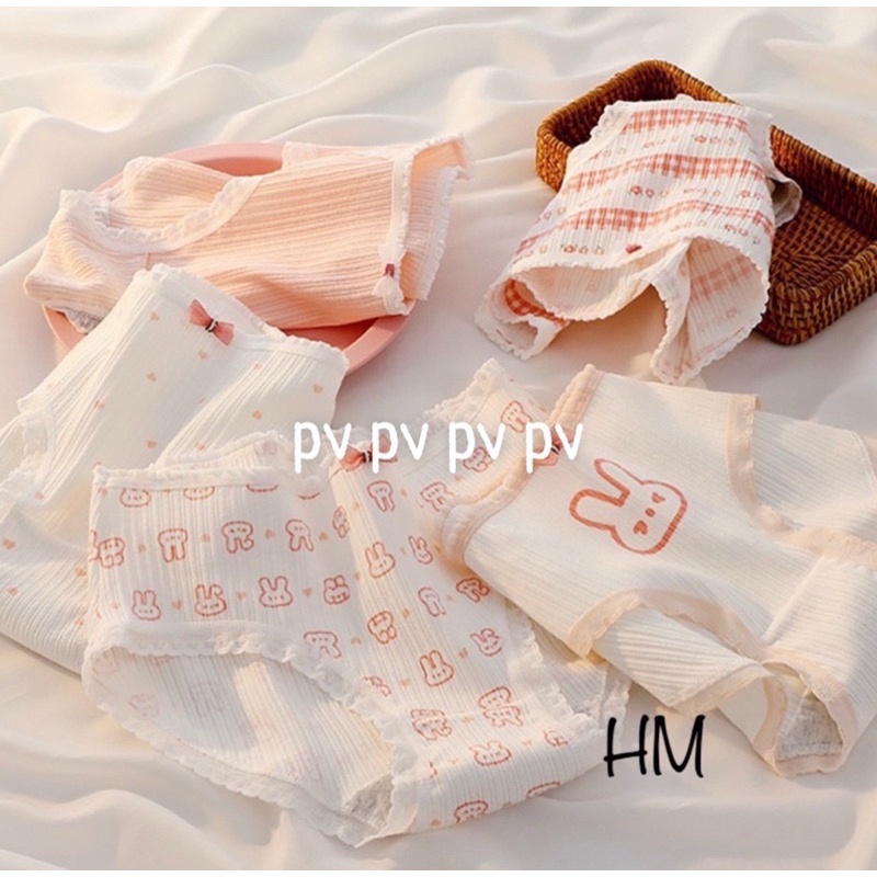 Set 5 Quần Chip Siêu Dễ Thương