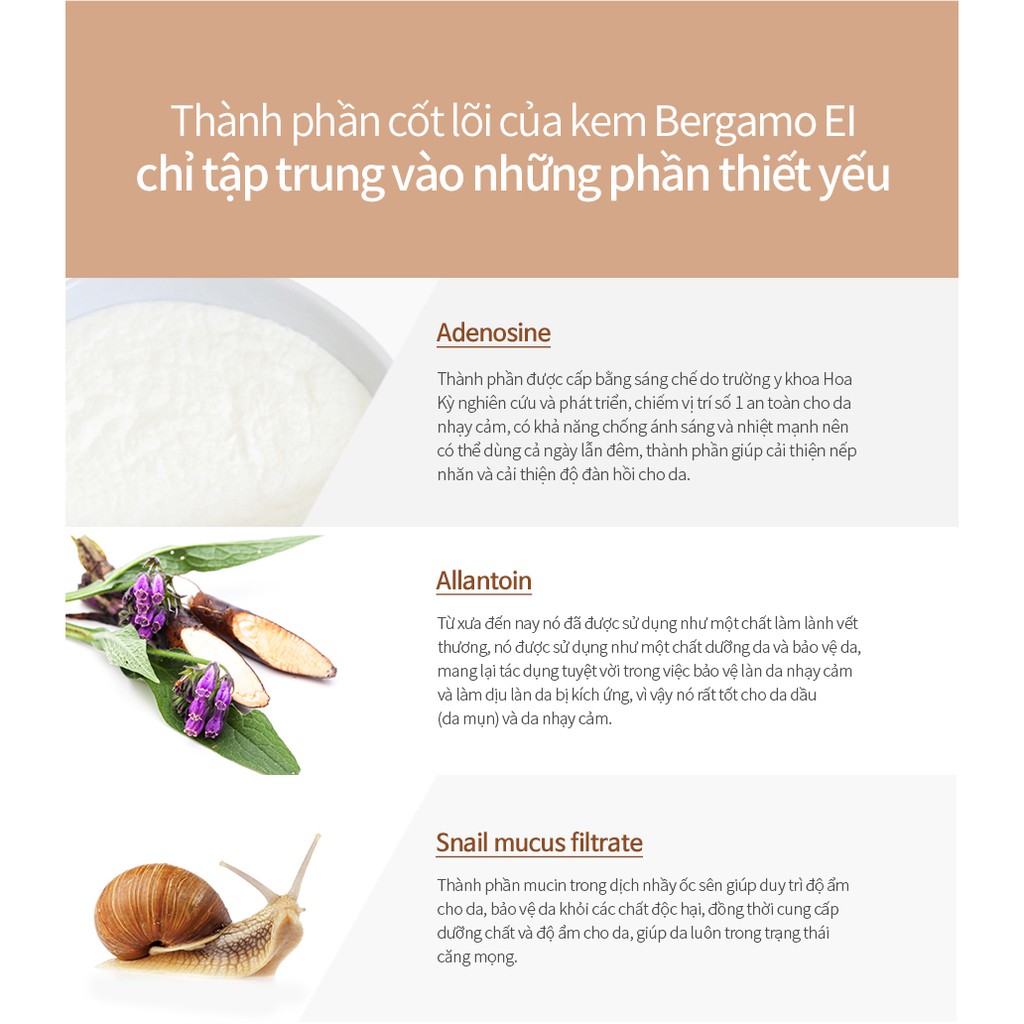 Kem Dưỡng Da Chuyên Sâu Bergamo Snail Essential Intensive 50g