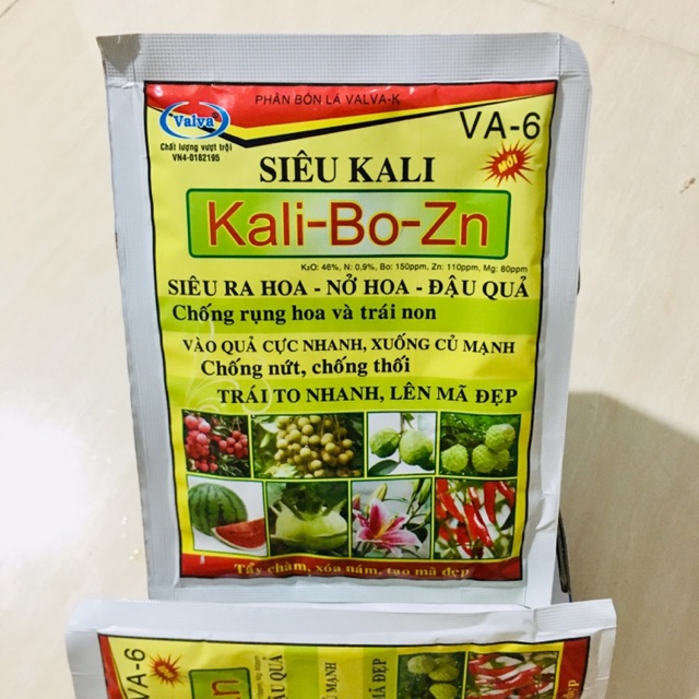 Siêu kali ra hoa - đậu quả