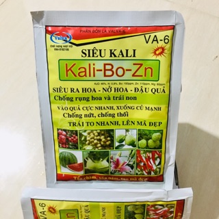 Siêu kali ra hoa - đậu quả