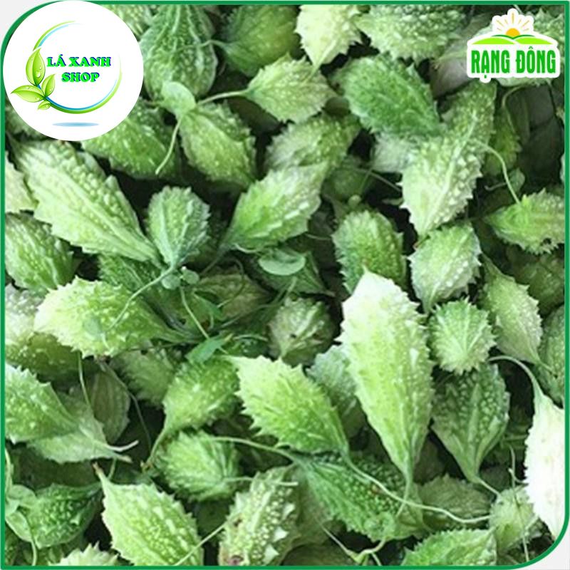 Hạt giống Khổ Qua Rừng, Trái Sai, Kháng Bệnh Tốt, Trồng Quanh Năm (gói 1 gram) - Hạt giống Rạng Đông