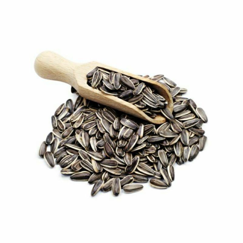 Hạt hướng dương sống cho hamster và thú cưng -100g