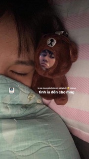 GẤU IN ẢNH