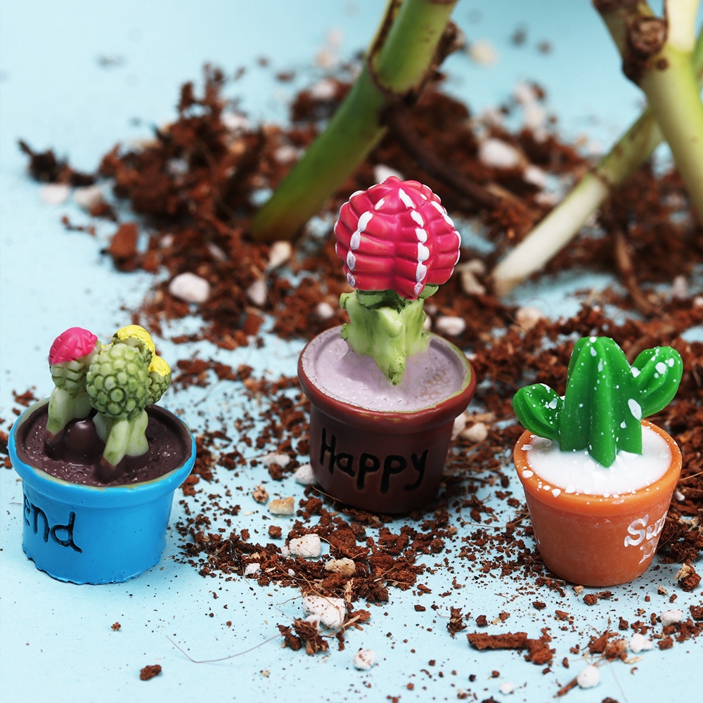 Set đồ trang trí hình chậu cây xương rồng xinh xắn