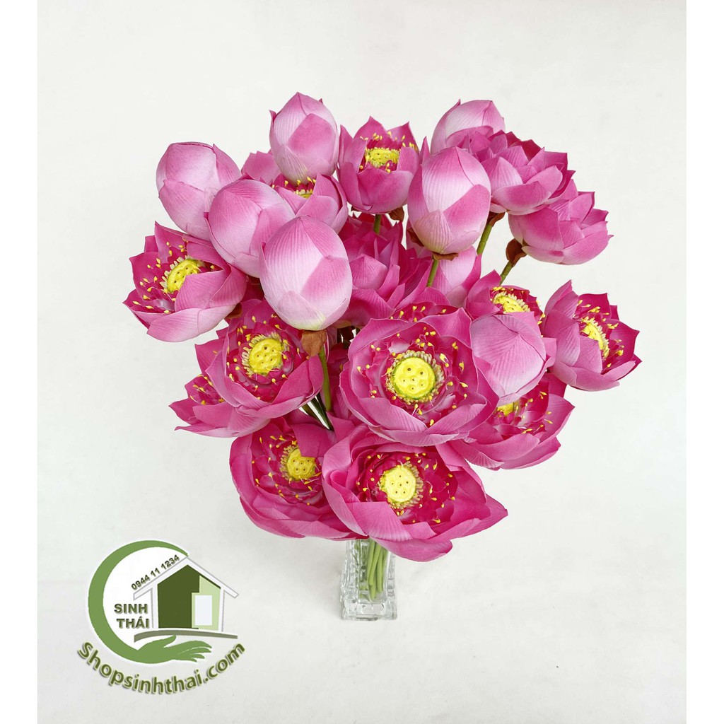 Cành hoa sen giả - bông sen vải lụa Thái Lan cao cấp - chọn bông