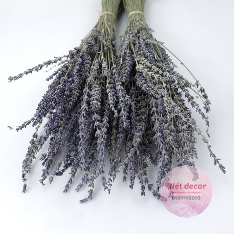 Bó hoa Lavender ( hoa Oải Hương ) khô tự nhiên