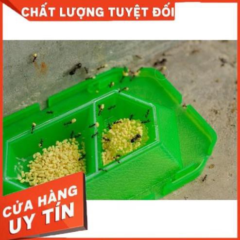 [ ƯU ĐÃI GIÁ ] Bộ 2 hộp diệt kiến