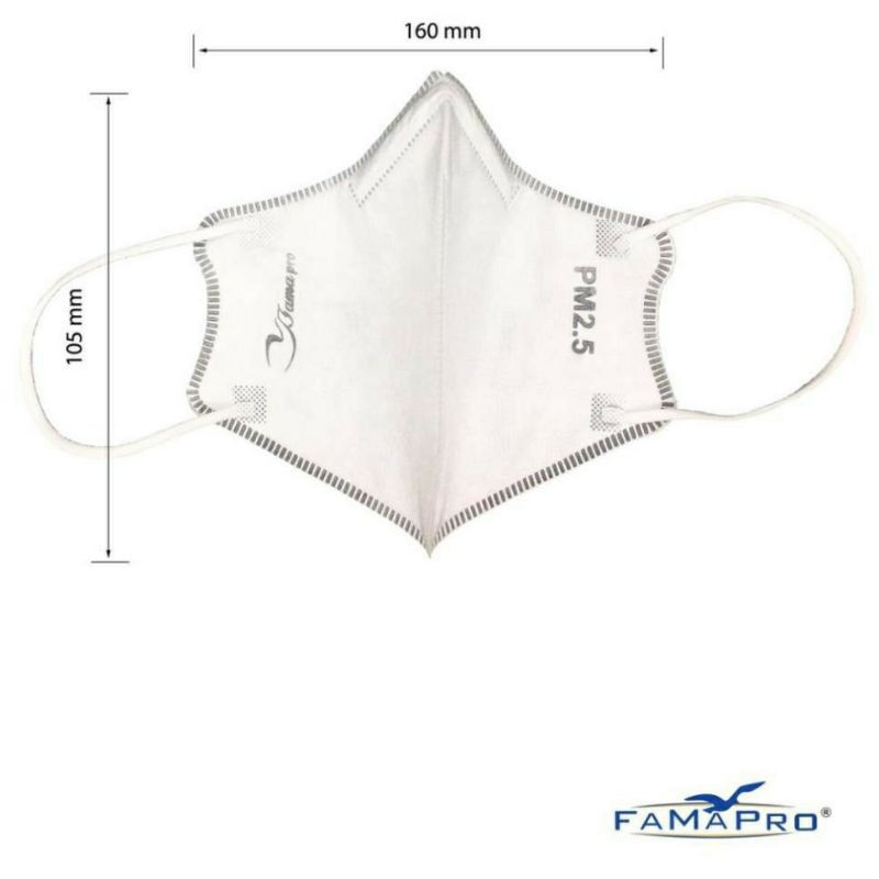 Khẩu trang PM 2.5 FAMAPRO (Tiêu Chuẩn Xuất khẩu BFE ≥95%) COMBO 5 HỘP CÓ 50 CÁI | BigBuy360 - bigbuy360.vn