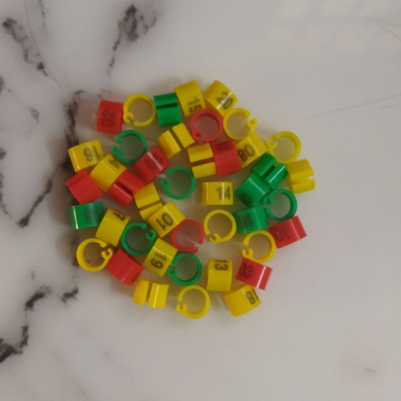 SET 10_40 VÒNG ĐEO CHÂN CHIM CU GÁY 6.5MM