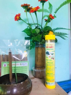 Điếu bồ kết ngũ hành xông nhà tăng sinh khí, vượng khí
