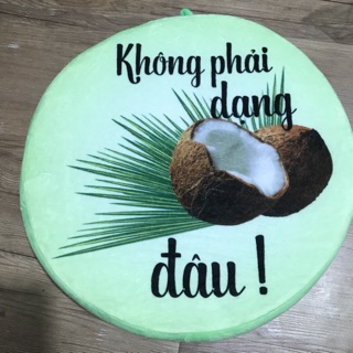 COMBO 3 GỐI TRÁI CÂY 3D- 37cm x dày 7cm.