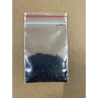 1000 Hạt Giống Rau Dền Xanh M005