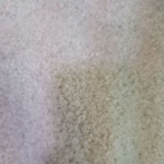 Gạo Séng Cù Tròn ( 5 Kg )