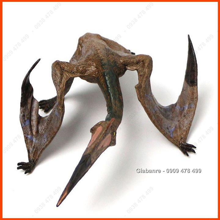 Mô Hình Khủng Long Thằn Lằn Bay Khổng Lồ