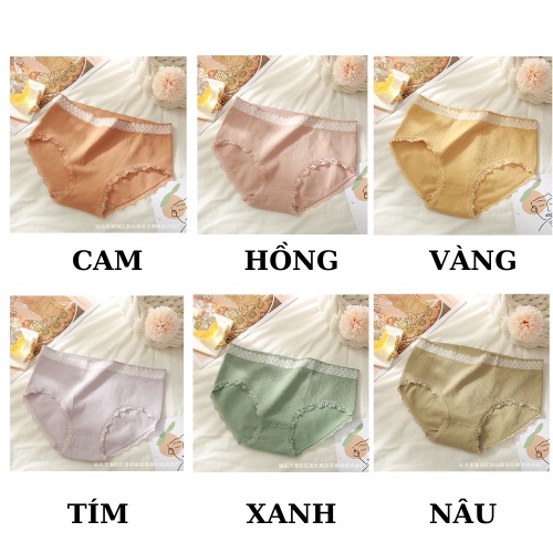 Quần Lót Nữ - Quần Lót Cotton Lưng Chấm Bi Kháng Khuẩn Viền Ren AMY BRA LQ13