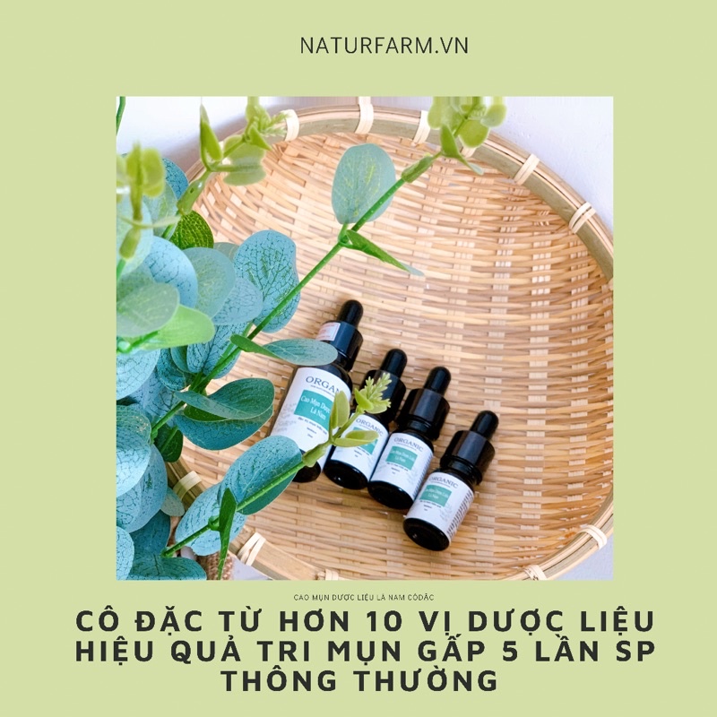 Cao lá nam dược liệu ( cao mụn cô đặc ) - Giải quyết dứt điềm các loại mụn từ nhẹ đến nặng ( cao mụn dươc liệu lá nam )