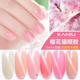 Sơn gel thạch mắt mèo kaniu