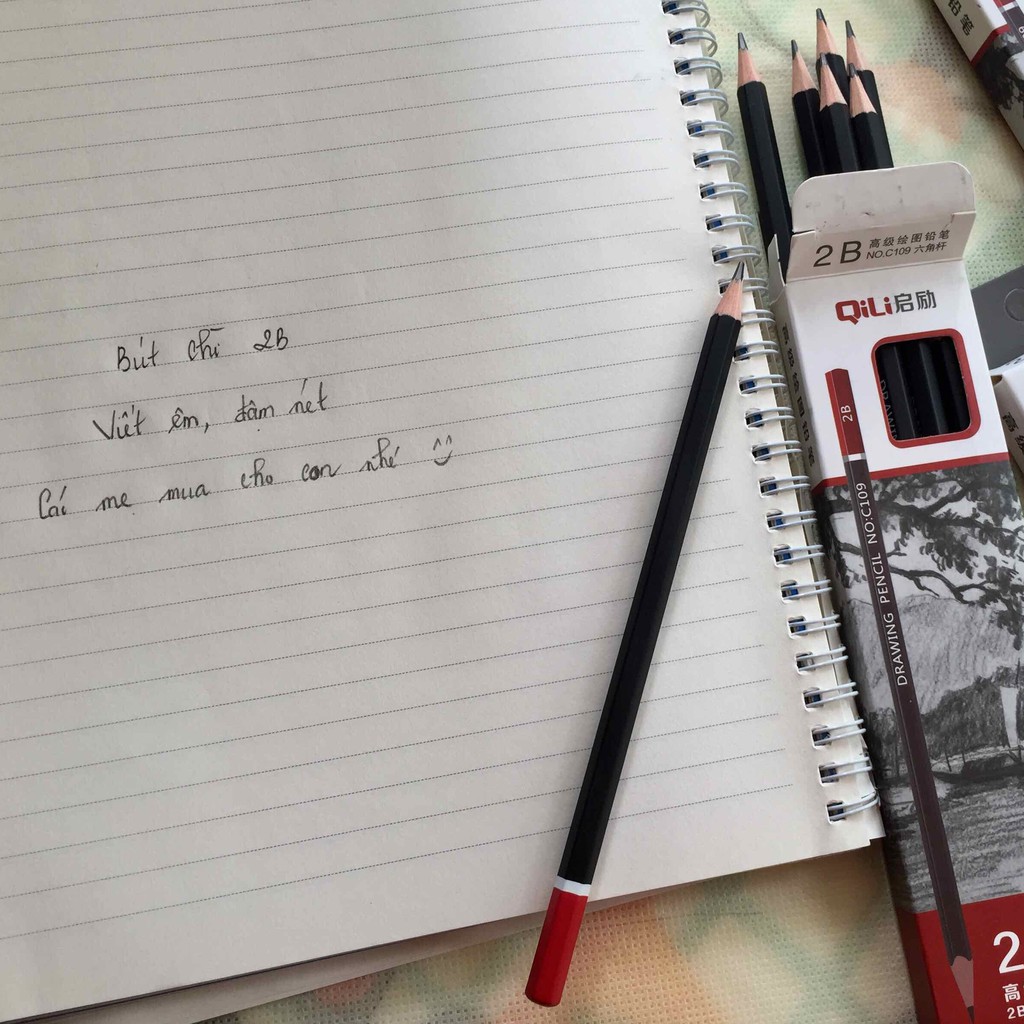Hộp 12 bút chì gỗ 2B Qili C109