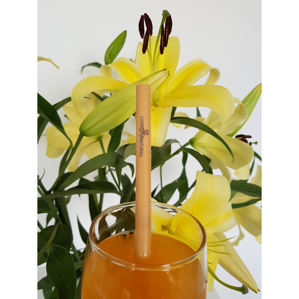 Ống hút tre,Inox và cọ các size | BigBuy360 - bigbuy360.vn