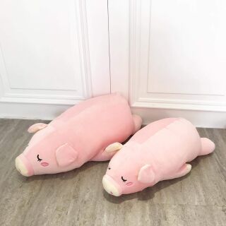 Heo hồng nằm little cucu