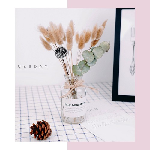 [CỰC ĐẸP] Lọ thủy tinh trang trí Bắc Âu🌻FREESHIP🌻 Decor phòng ngủ, cắm hoa khô