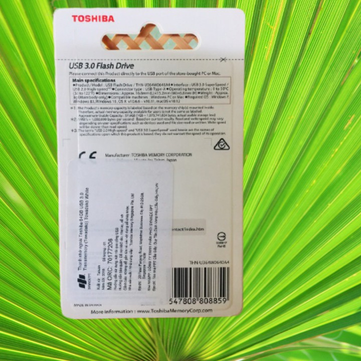 USB nhac losless chat luong cao 64GB | BigBuy360 - bigbuy360.vn