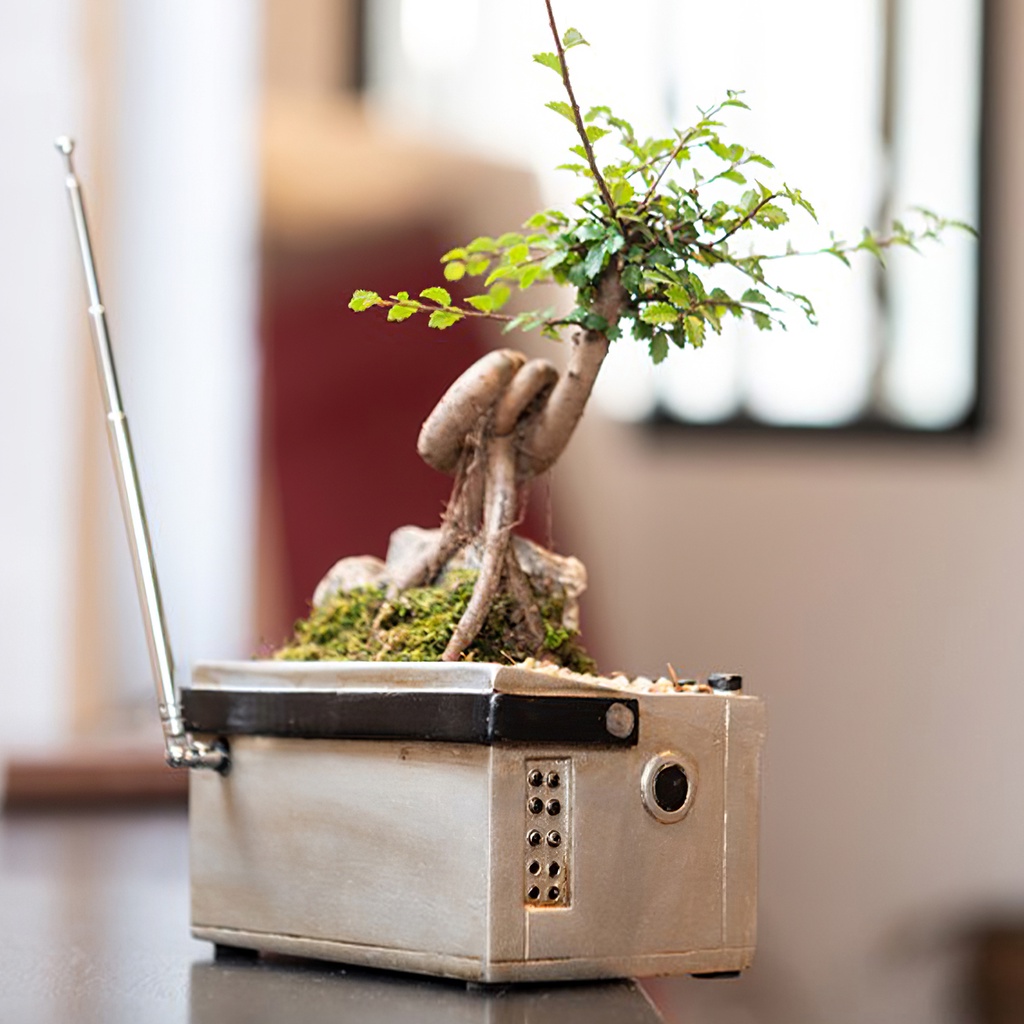 [house]Radio Flower Pot Weather-Resistant Radio Succulents Decorative Radio Ornament Radio Planter Resin Decoration for