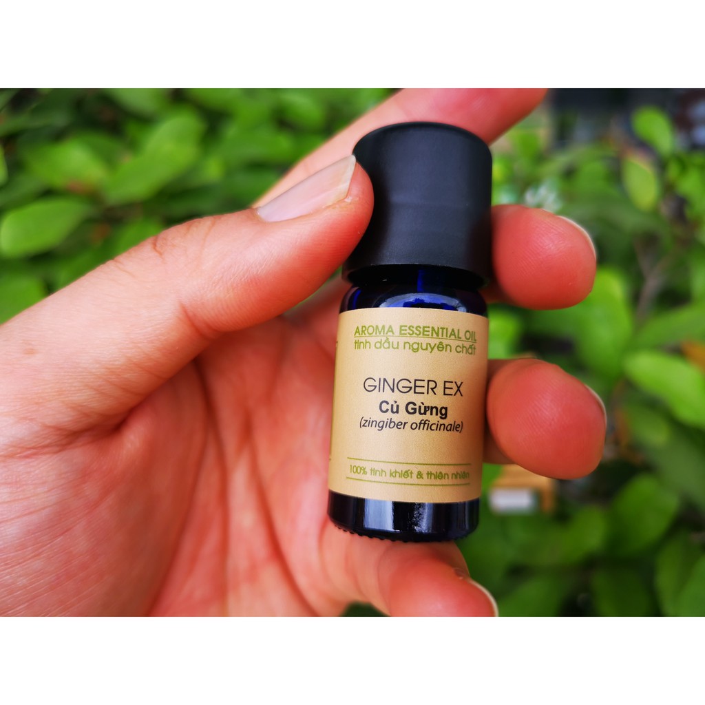 Tinh Dầu Củ Gừng ,Tinh Dầu Gừng Ginger Oil 10ml-100ml