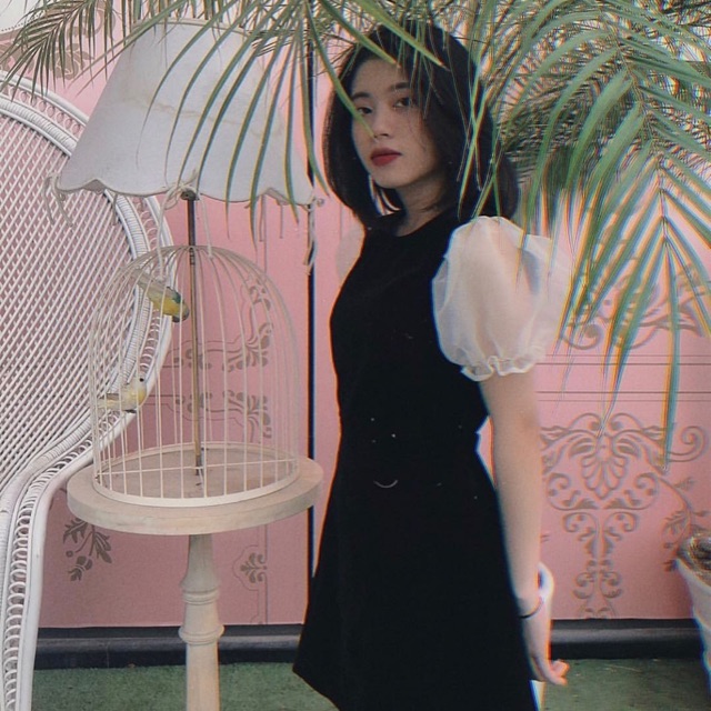 Đầm Kidosince