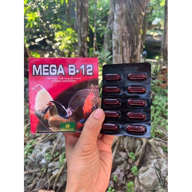 Thuốc nuôi mega b-12 vnknd