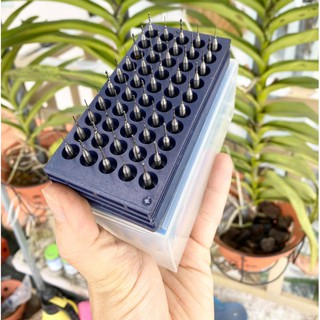 hộp mũi khoan mạch mini 50 mũi - fullbox