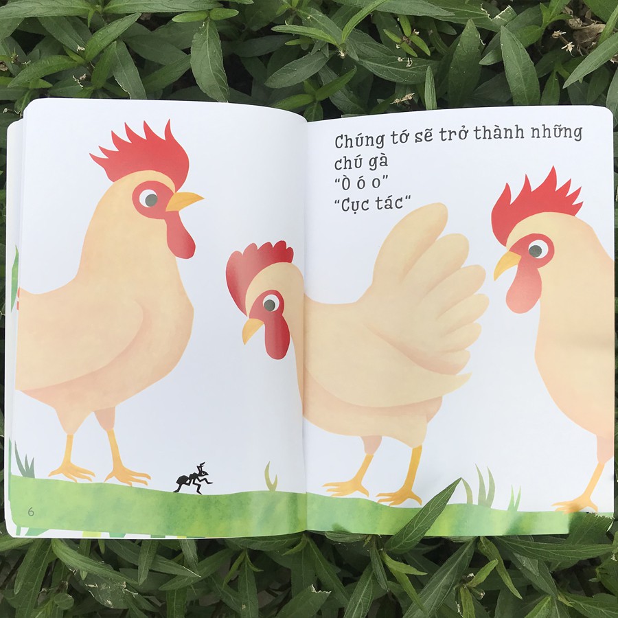 Sách - Ehon Accototo (0-6 tuổi) - Combo 4 cuốn - Thanh Hà Books HCM